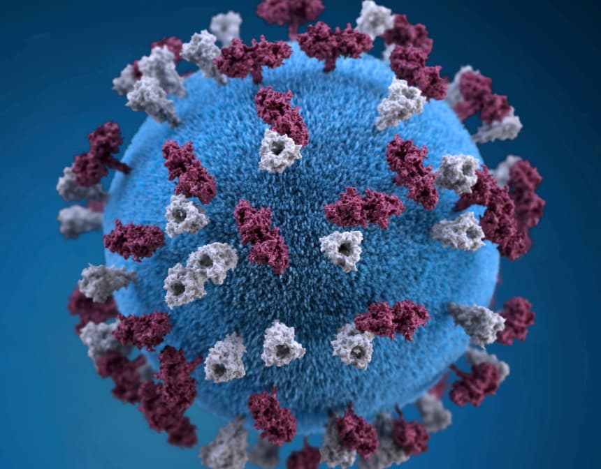 Measles Outbreak Visualization